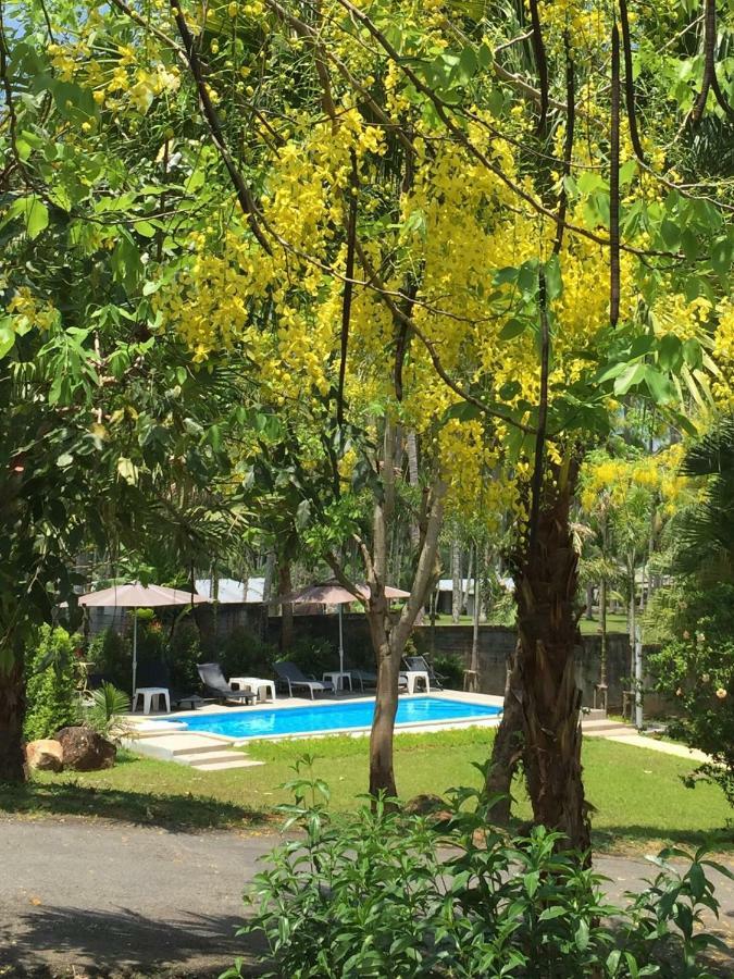 Khaolak Hillside Villa خاو لاك المظهر الخارجي الصورة